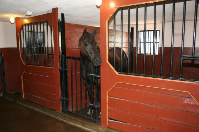 Horse stalls