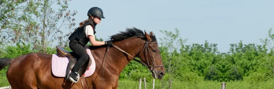 Legend Equestrian facility in Hillsborough, New Jersey