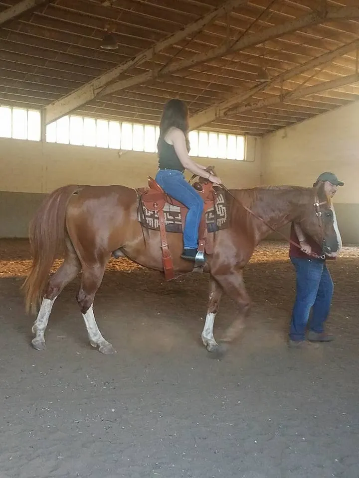 Adonis teaching horseback riding lesson